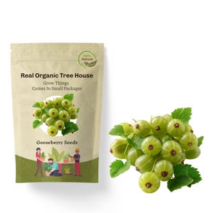 Organic Gooseberry Seeds: Heirloom Amla Phyllanthus Emblica