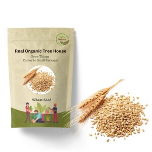 Farro Wheat Seeds: Organic Heirloom Grain