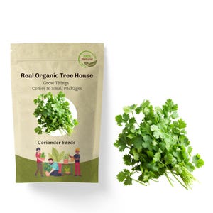 Coriander Seeds |100+Seeds| Organic & Non Gmo Coriander Seeds | Heirloom Seeds | Fresh USA Grown Seeds | Grow Your Own Fresh Herbs At Home!