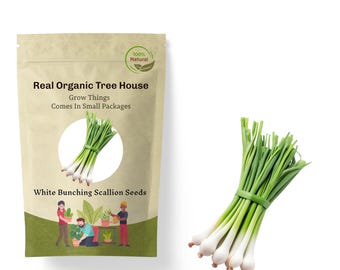 Nasiona szczypiorku wiecznie zielonego, białego, pęczkowego – wyhodowane w USA