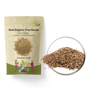 Caraway Seed | Premium Quality | Carum Carvi | Herb | Fresh Harvested | Loose | Herbal