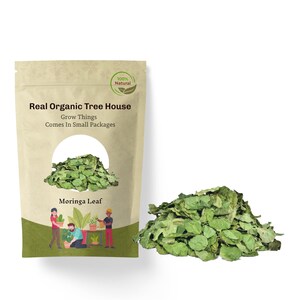 Moringablatt(2lbs) | Moringablätter Tee | Moringa oleifera | Trommelstock Baum Blätter | Pflanzlich | Locker | Kraut | Frisch Geerntet | Premium-Qualität