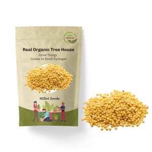 Dried Organic Millet Seeds | Hulled Millet Seeds Premium Grade | Herbal | Loose |  Hulled Millet Seeds