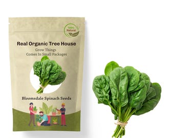 Bloomsdale Spinatsamen: Organisch, ohne GMO, in den USA angebaut