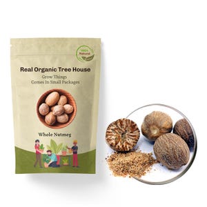 Natural Whole Nutmeg Spice - Myristica Fragrans - Fresh Nutmeg Flavor Ingredient