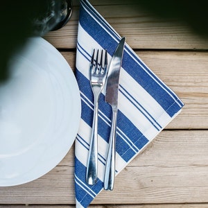 Blue White Striped Napkin 45x45cm-Pack of two
