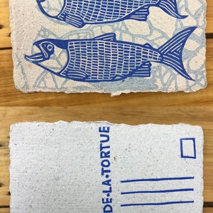Puede incluir: Una postal azul y blanca con un dise&ntilde;o de pez azul y el texto "LE CRI DE LA TORTUE" en la parte posterior.