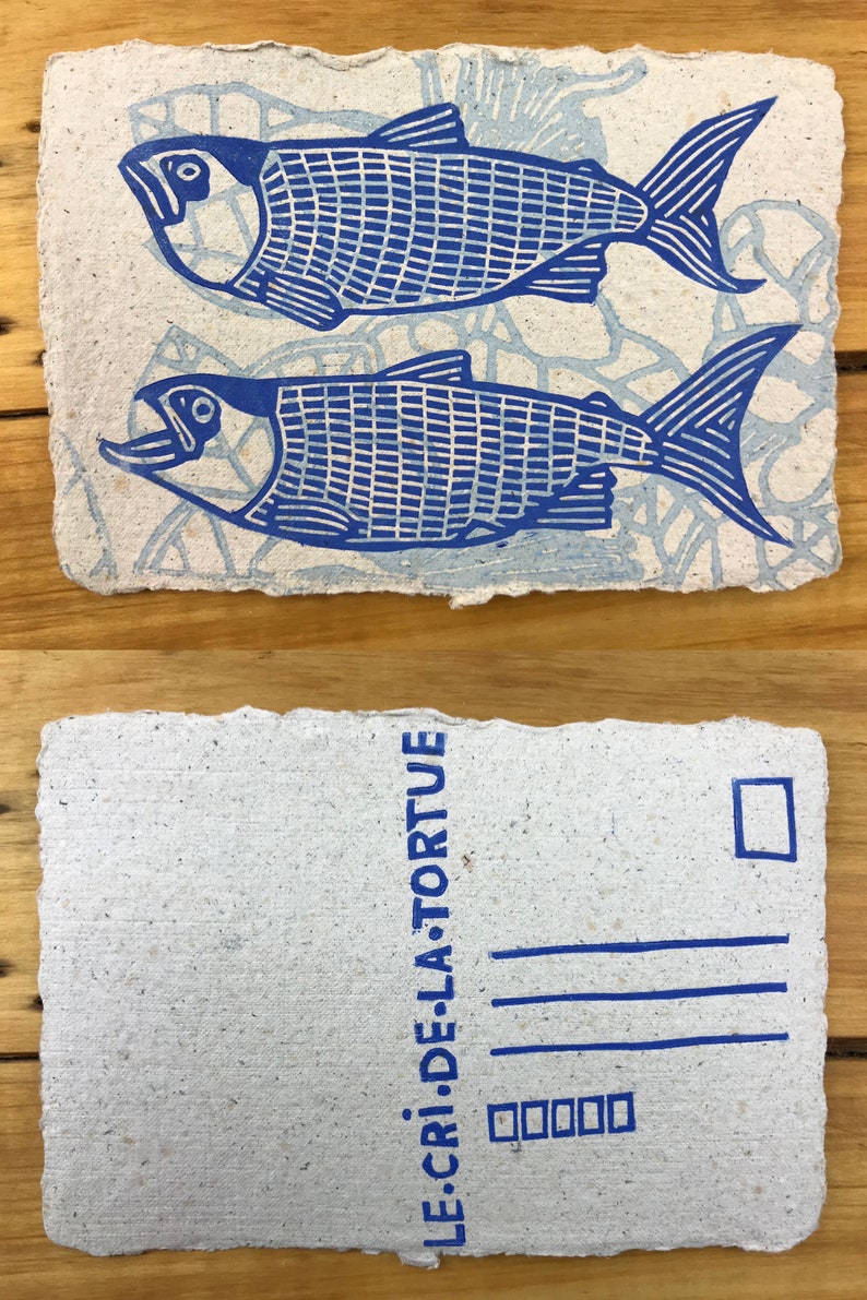 Puede incluir: Una postal azul y blanca con un dise&ntilde;o de pez azul y el texto "LE CRI DE LA TORTUE" en la parte posterior.
