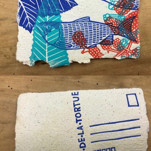 Puede incluir: Una ilustraci&oacute;n de un pez azul y rojo sobre un fondo blanco con hojas azules y verdes. El fondo es un papel texturizado con un borde blanco. El texto "LE CRI DE LA TORTUE" est&aacute; impreso en azul en la esquina inferior derecha del papel.