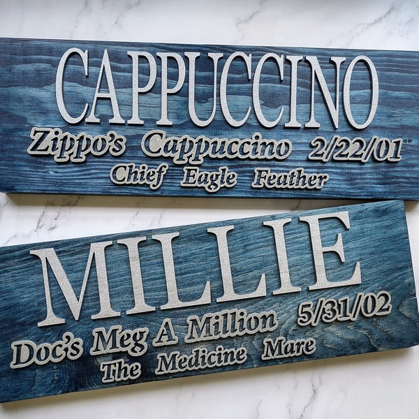 Horse Stall Name Plate, Horse Stable Sign, Personalized Horse Sign, Custom Horse Tack, Barn Name Sign, Horse Name Plate, Horse Name Sign