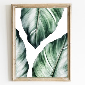 Stampa di foglie di banano tropicali: arte murale moderna (download digitale)