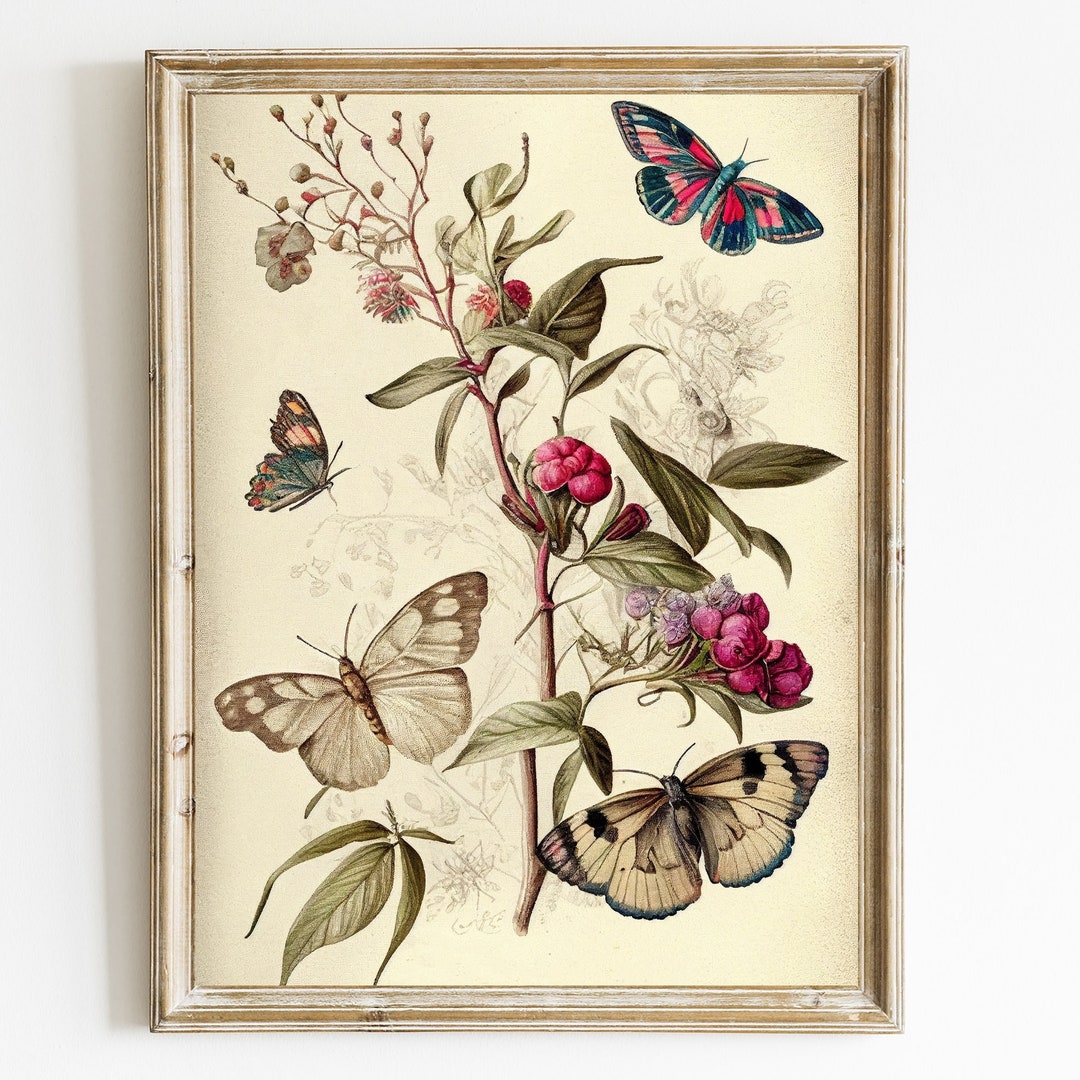 Vintage Butterfly Botanical Print: Antique Farmhouse Wall Decor ...