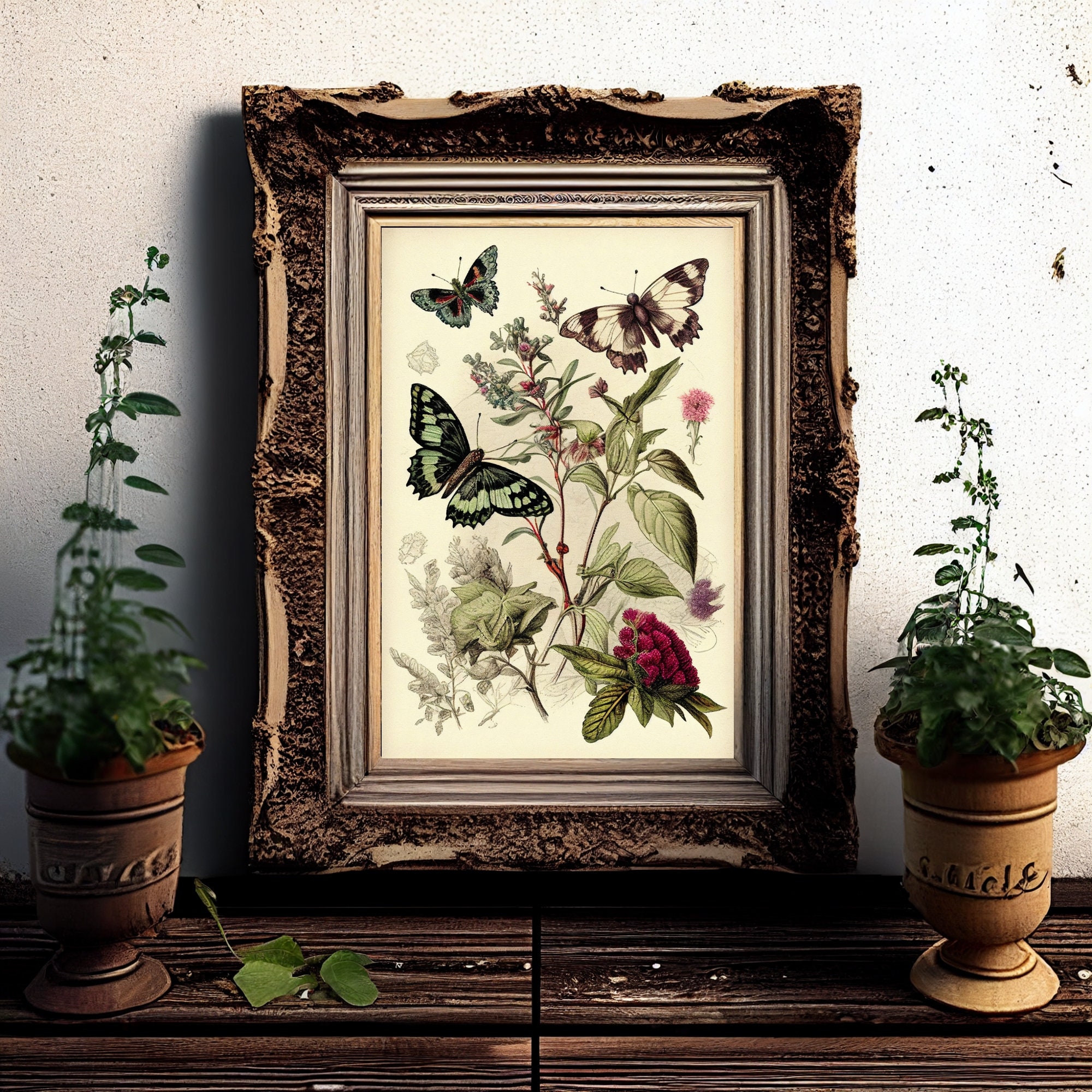 Vintage Butterfly Botanical Print: Antique Farmhouse Wall Decor ...