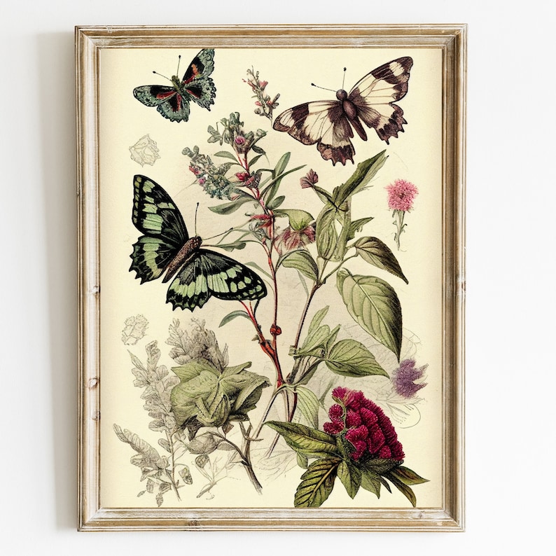 Vintage Butterfly Botanical Print: Antique Farmhouse Wall Decor ...