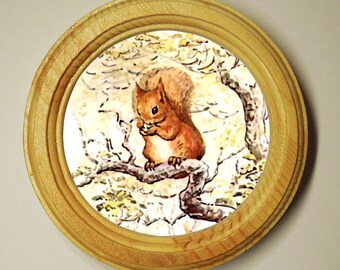 Squirrel Design PicturePhoto Frame Portrait Or Landscape 6x4 Nature Gift 343