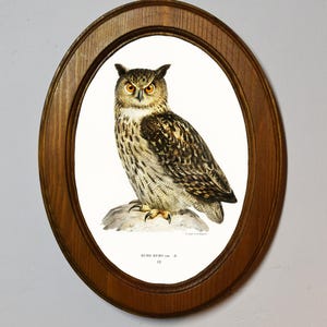 Cuadro ovalado de madera de roble claro con marco, búho real, de los hermanos Von Wright, lámina artística, ilustración de pájaro, para colgar en la pared, estilo vintage antiguo.