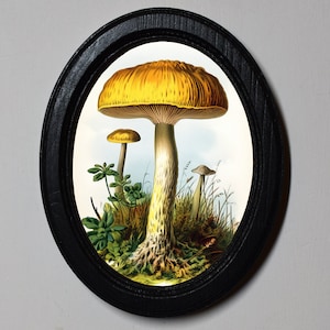 May include: A framed illustration of three yellow mushrooms with brown stems and white spots. The mushrooms are surrounded by green foliage and a light blue background.