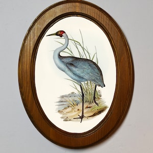 May include: Oval framed print featuring a detailed illustration of a crane with blue-grey plumage, a red head, and long black legs. The bird stands amidst tall grass and a small body of water. The frame is made of wood with a warm, natural finish.