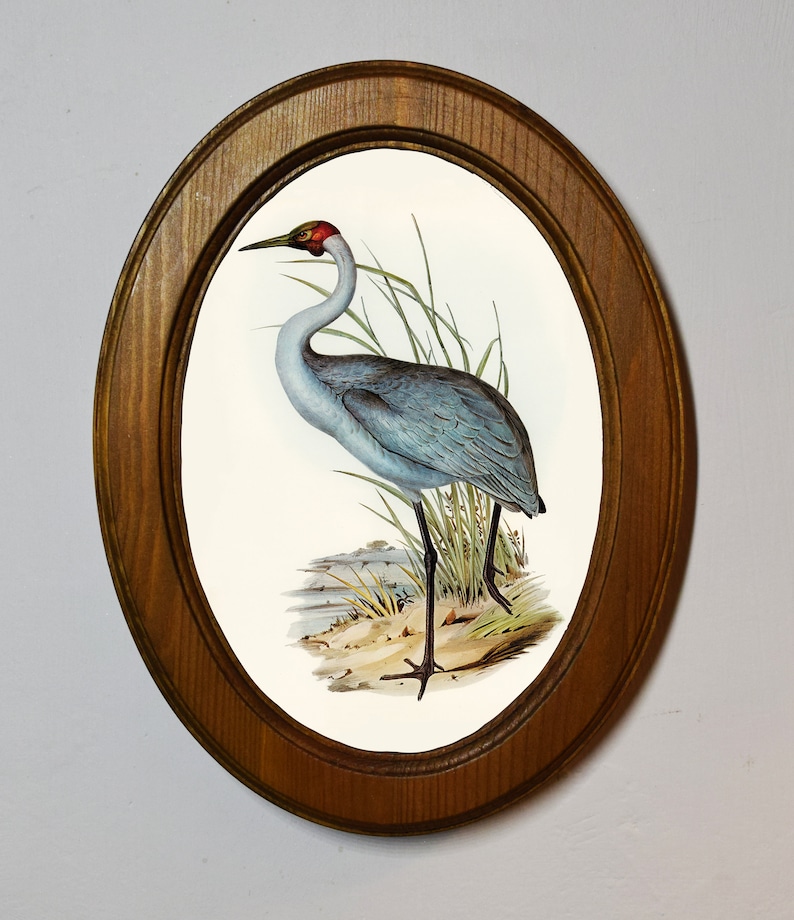 May include: Oval framed print featuring a detailed illustration of a crane with blue-grey plumage, a red head, and long black legs. The bird stands amidst tall grass and a small body of water. The frame is made of wood with a warm, natural finish.