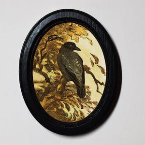 May include: A black crow perched on a branch in a framed oval print. The background is a watercolor painting of a forest scene with brown and yellow leaves.
