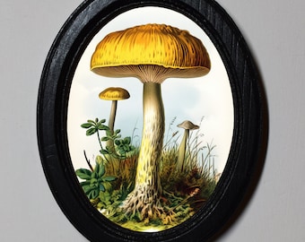 Black Oval Wooden Framed Picture Wall Hanging Autumn Fall Illustration Yellow Mushroom Art Print