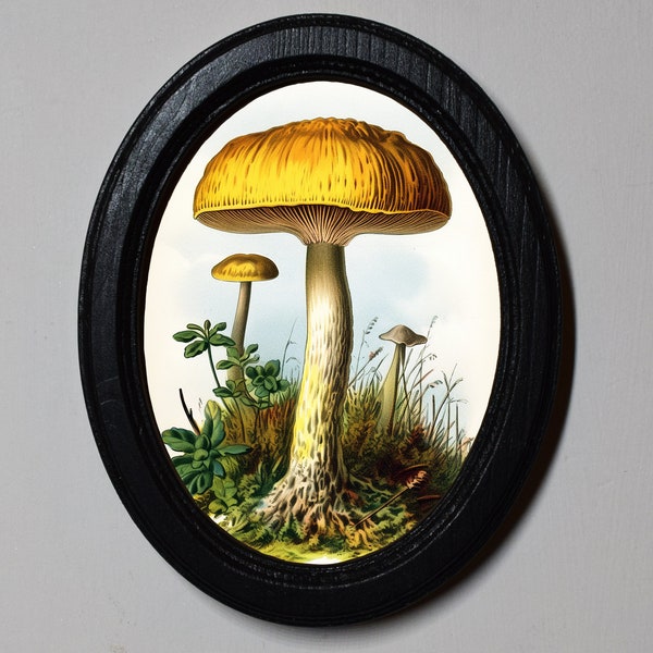 Black Oval Wooden Framed Picture Wall Hanging Autumn Fall Illustration Yellow Mushroom Art Print