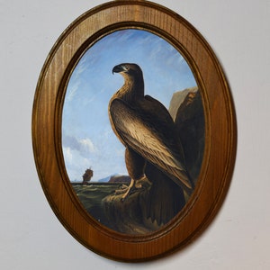 Puede incluir: Una pintura enmarcada de un águila marrón y blanca posada en una roca con un pequeño velero en la distancia. La pintura está ambientada en un cielo azul con nubes blancas.
