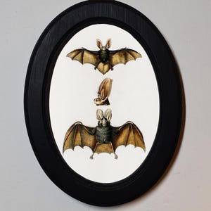 Black Oval Wooden Framed Picture, Bat Vampire, Halloween Gothic Art Print, Wall Hanging Home Decor Antique Vintage Style