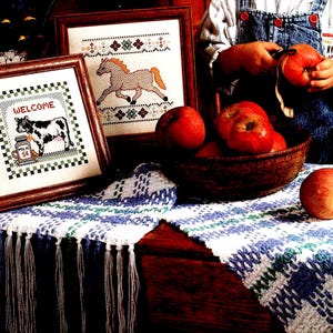 May include: Two framed cross-stitch patterns, one with a cow and the text "WELCOME" and the other with a horse. A crocheted table runner with blue and green stripes and fringe. A bowl of red apples on a wooden table.