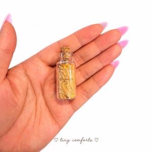 Mini Pasta Bags | Miniature Grocery Props | Dollhouse Food | Tiny Pantry Accessories | Mini Kitchen Decor image 3