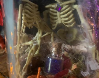 Skeleton Bat  Fairies Together Forever
