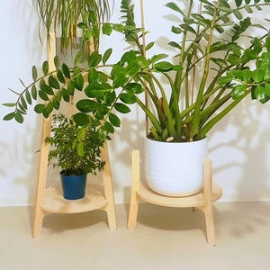 Op de afbeelding: Drie potplanten op houten plantenstandaards. De standaards zijn gemaakt van natuurlijk hout en hebben een eenvoudig ontwerp. De planten zijn een dracaena, een ZZ-plant en een varen. De dracaena staat in een witte pot, de ZZ-plant in een witte pot en de varen in een blauwe pot.