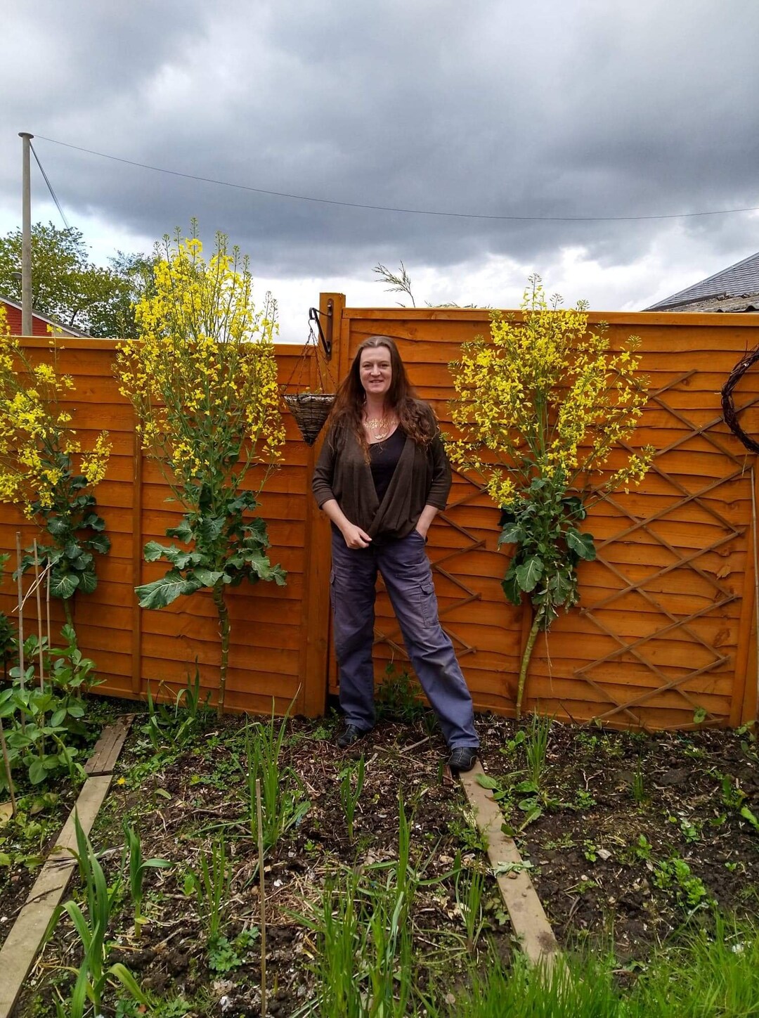 Walking Stick Kale Seed Etsy Canada