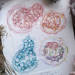 Multiple Embryo Painting - Handpainted bespoke Custom Embryo Watercolor Painting | Multiple Embryos | IVF Art