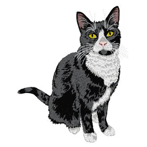 May include: A black and white cat with yellow eyes sits facing the camera. The cat has white markings on its chest, paws, and face.