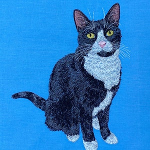 May include: A black and white cat with yellow eyes sits on a blue background. The cat has white markings on its chest and paws.