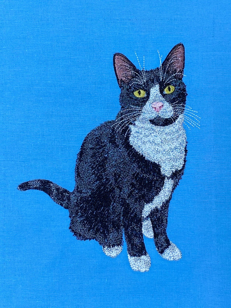 May include: A black and white cat with yellow eyes sits on a blue background. The cat has white markings on its chest and paws.