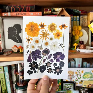 Puede incluir: Una tarjeta blanca con una variedad de flores prensadas en tonos amarillos, naranjas, blancos y morados. El arreglo incluye margaritas y otros elementos florales. La tarjeta se sostiene frente a una estantería.