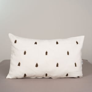 Accent gooien kussen, lumbale kussen, decoratief Home decor moderne Boho boerderij, kwast kussensloop, crème grijs wit lumbale cover