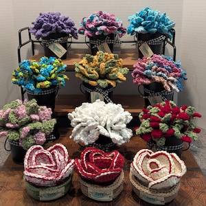 Succulent Plant Pot Coaster Set, Crochet Coaster Set
