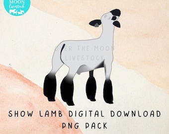 Show Lamb Instant Digital Download Pack | Sheep PNG Files | Ewe and Wether | Multiple Colors + Silhouettes