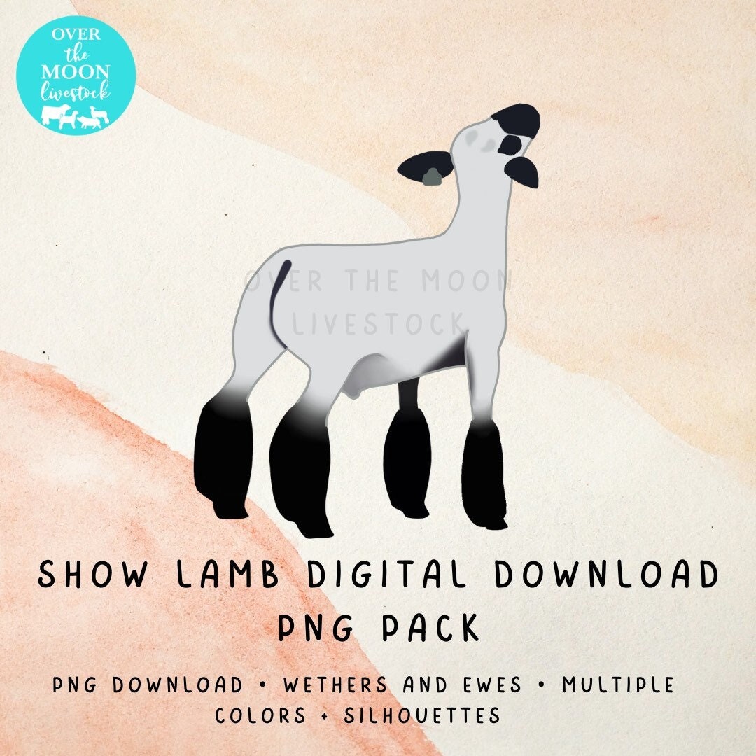 Show Lamb Instant Digital Download Pack Sheep PNG Files Ewe and Wether  Multiple Colors Silhouettes - Etsy