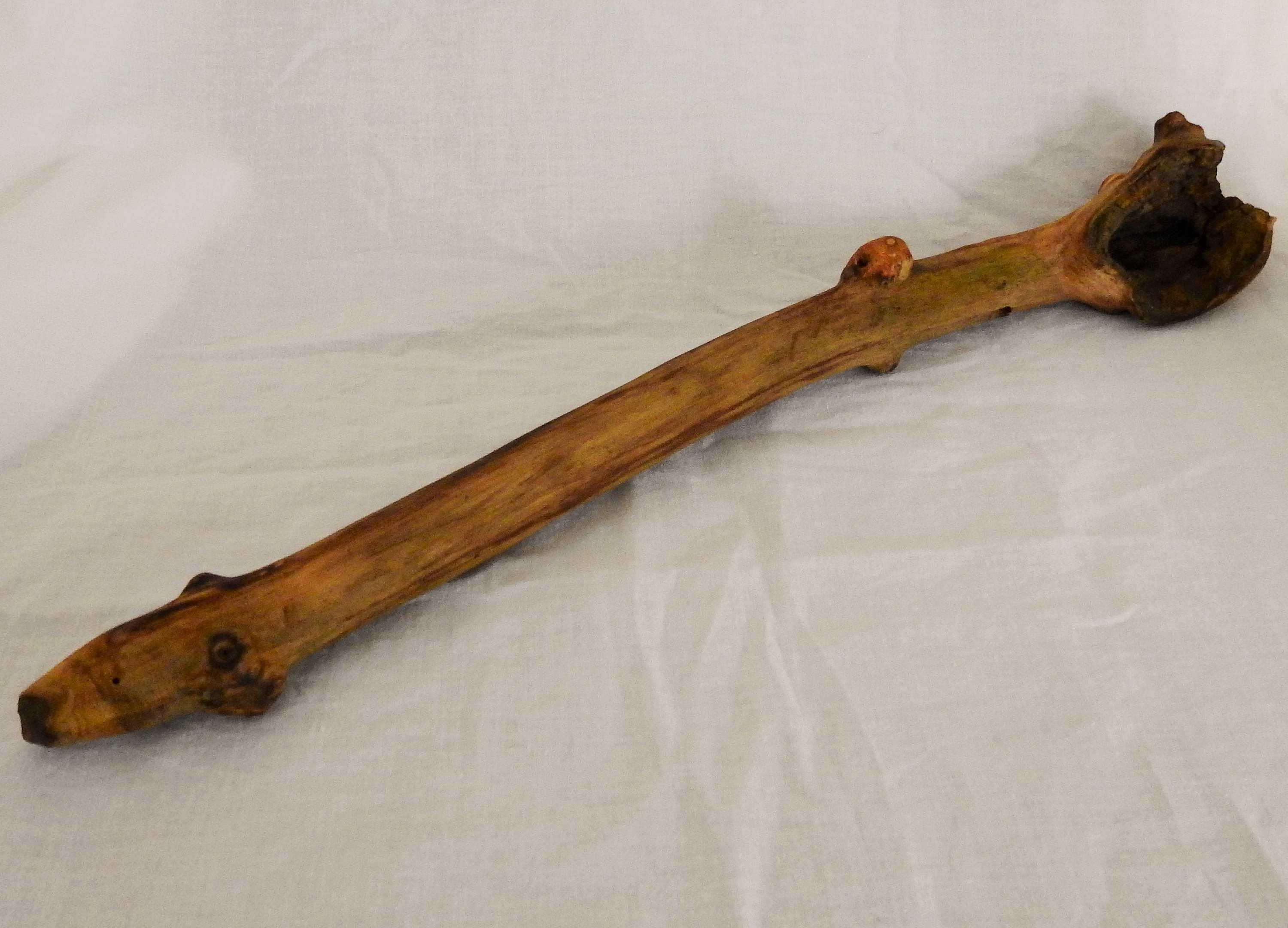 Rare Baguette Black Elder Naturellement Altérée Pleine de Fonctionnalités