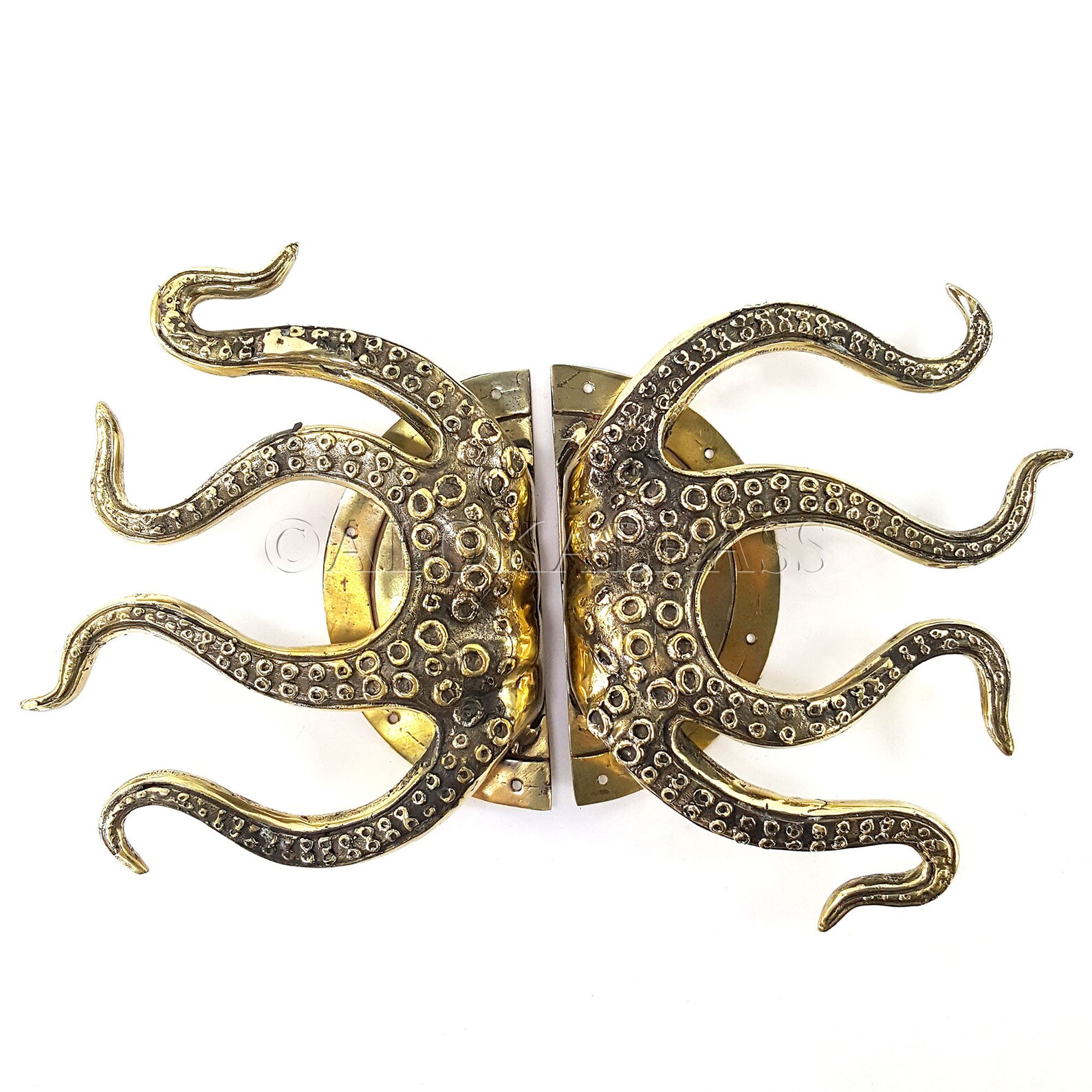 2 Stunning Large Octopus Solid Polished Brass Door Handle Pull Etsy