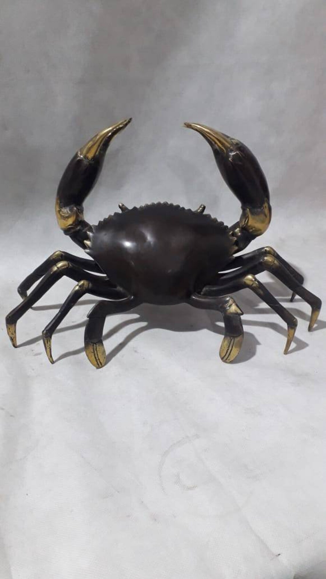Brass Large Mud Crab Statue Brass Home Decoration 20cm decor Etsy
