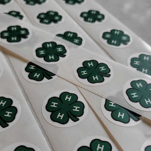 Adhesivo despegable rápido con logotipo 4H a granel