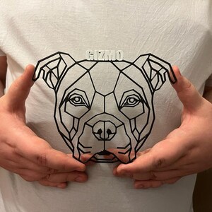 May include: A white t-shirt with a geometric black and white design of a dog's head. The dog's name, "Gizmo", is printed above the design.
