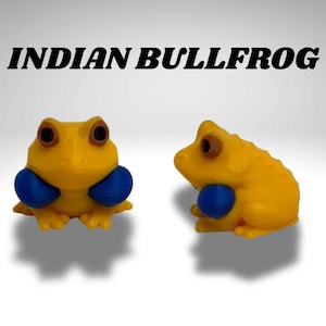 Tiny Indian Bull Frog Terrarium - 3D Printed Frog and Terrarium - Room Decor image 3