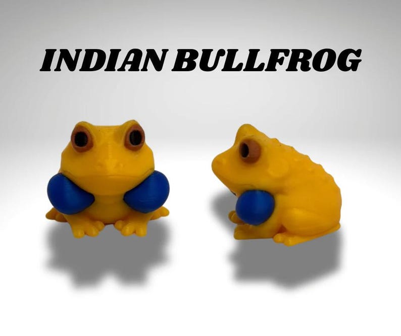 Tiny Indian Bull Frog Terrarium - 3D Printed Frog and Terrarium - Room Decor image 3