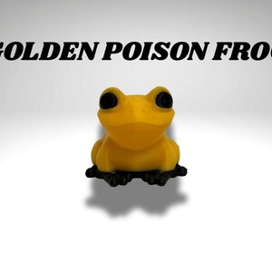 Winziges goldenes Giftfrosch-Terrarium - 3D gedruckter Frosch und Terrarium - Raumdekor Bild 3